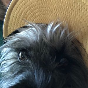 Meet your Posher, Tim